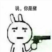 随缘微信聊天表情包