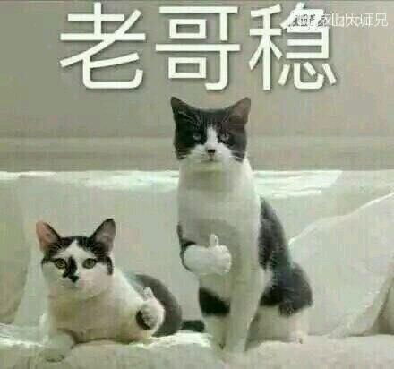 微信近期斗图恶搞表情2020/9/18