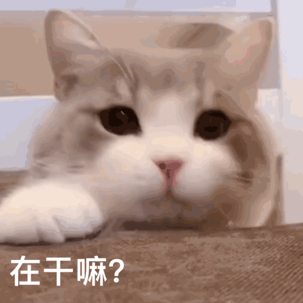 微信近期斗图恶搞表情2020/9/19