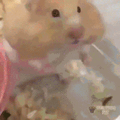 上头微信聊天表情包