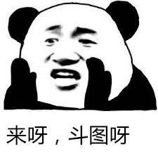 你好微信熊猫头聊天表情包