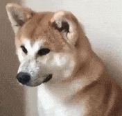 歪头微信聊天表情包