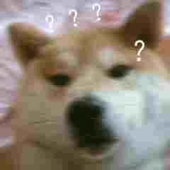 斗图柴犬沙雕微信表情包