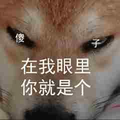 斗图柴犬沙雕微信表情包