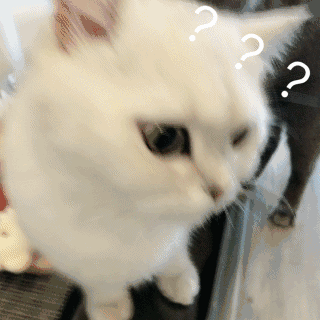 收声微信聊天表情包