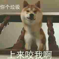 斗图柴犬沙雕微信表情包