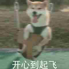 斗图柴犬沙雕微信表情包