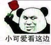 微信近期斗图恶搞表情2020/9/21(二)