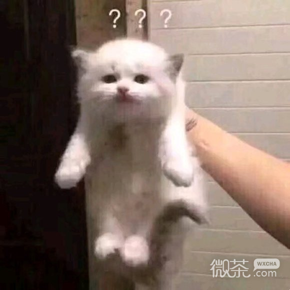 可爱微信聊天表情包