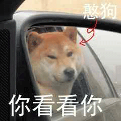斗图柴犬沙雕微信表情包
