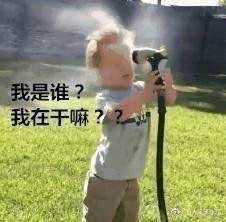 微信近期斗图恶搞表情2020/9/21(二)