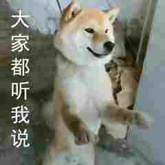 斗图柴犬沙雕微信表情包
