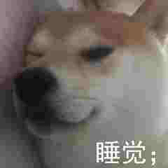 斗图柴犬沙雕微信表情包