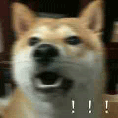 斗图柴犬沙雕微信表情包