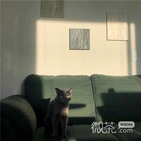绿色大自然质感小清新唯美个性素材图片