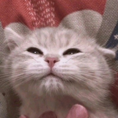 搞怪可爱的萌宠动物微信头像