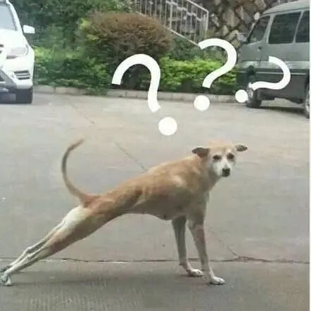 一脸黑人问号懵逼的微信表情包