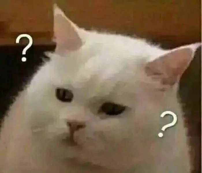 一脸黑人问号懵逼的微信表情包