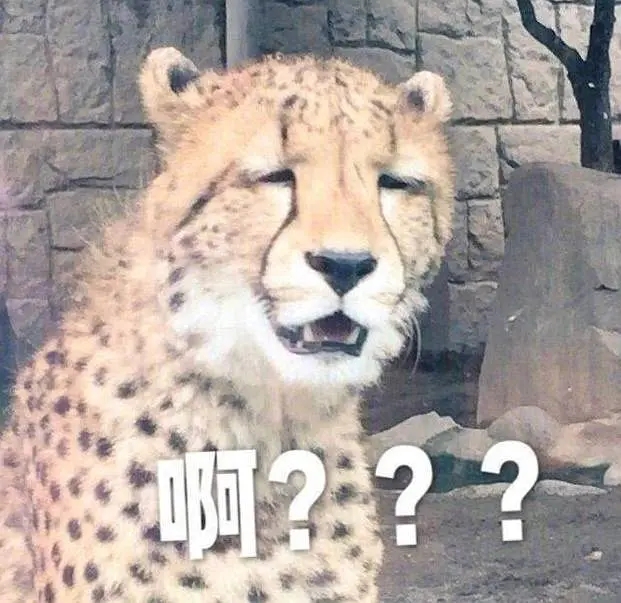 一脸黑人问号懵逼的微信表情包