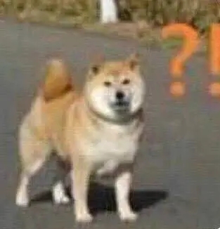 一脸黑人问号懵逼的微信表情包