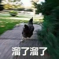 微信近期斗图恶搞表情包2020/9/23（二）