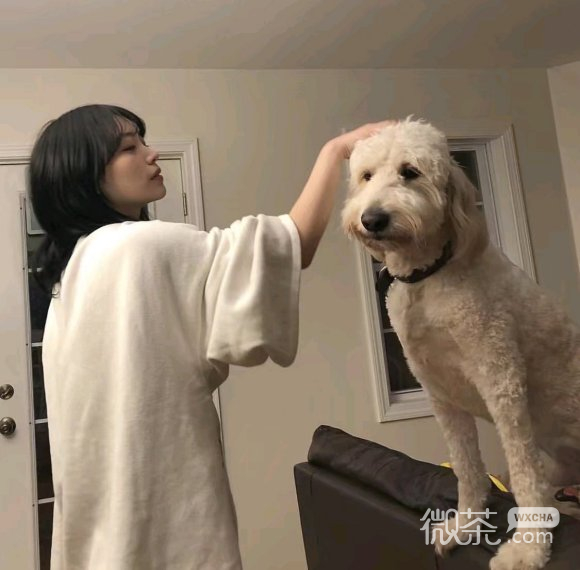 微信温馨长发阳光女生头像