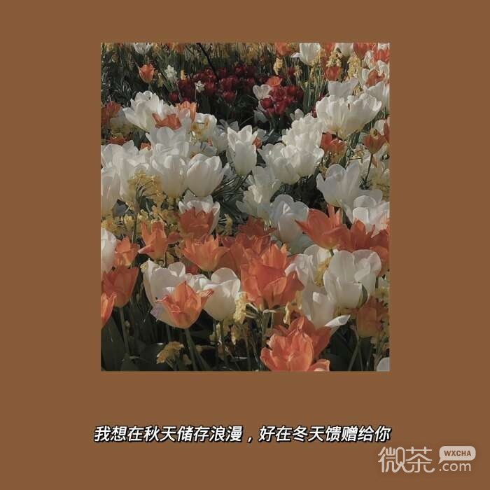 治愈文字朋友圈配图