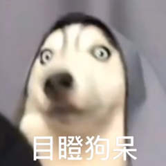 最新怼人可爱有趣文字微信表情包