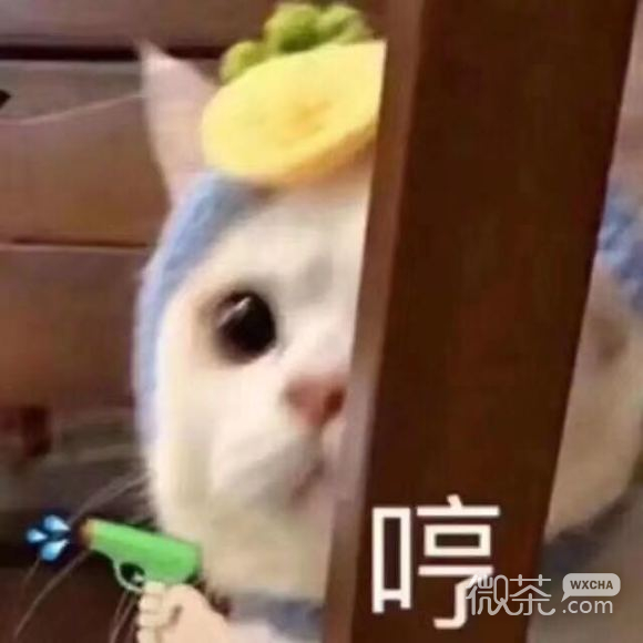 知错不改微信聊天表情包