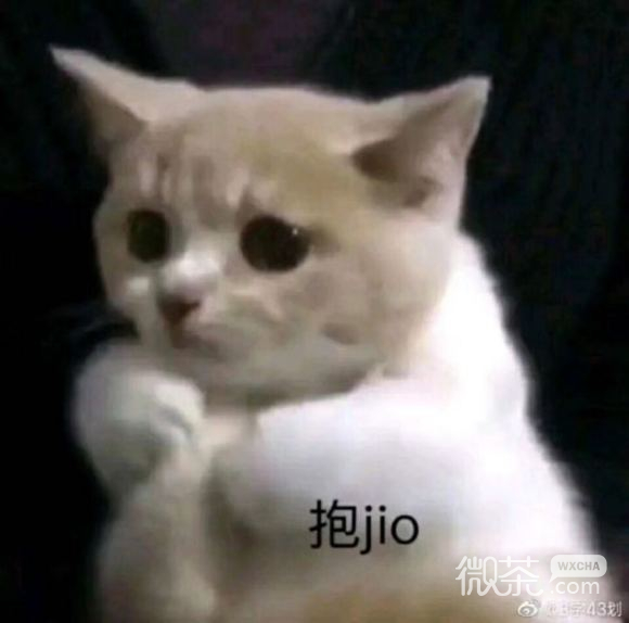 知错不改微信聊天表情包