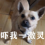 狗村的希望微信表情包