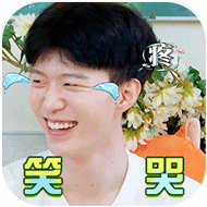 青春环游记微信表情包