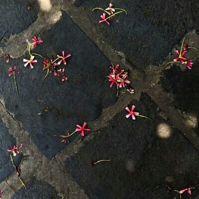 唯美风景治愈系微信头像