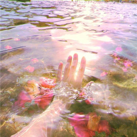 一眼就让人很喜欢的微信朋友圈背景