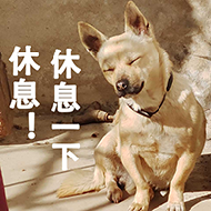 狗村的希望微信表情包