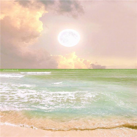 一眼就让人很喜欢的微信朋友圈背景