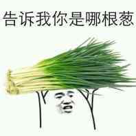 微信近期斗图恶搞表情包2020/9/24