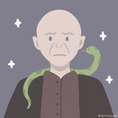 哈利波特最新插画微信头像