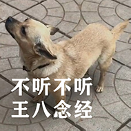 狗村的希望微信表情包