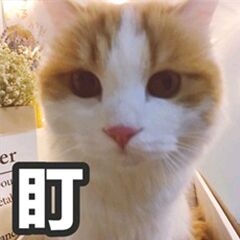 微信近期斗图恶搞表情包2020/9/24（二）