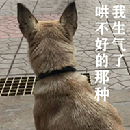 狗村的希望微信表情包