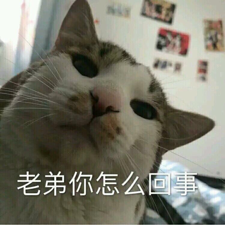 微信近期斗图恶搞表情包2020/9/24