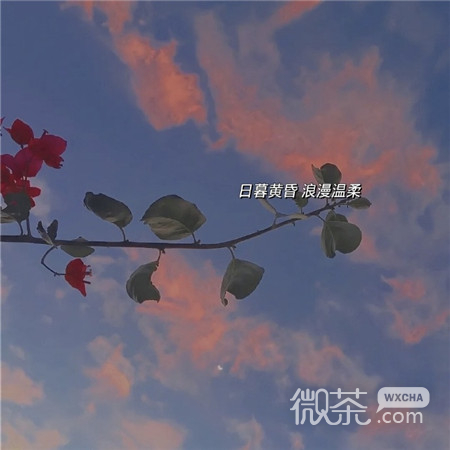 最火的带字又伤感的微信朋友圈配图