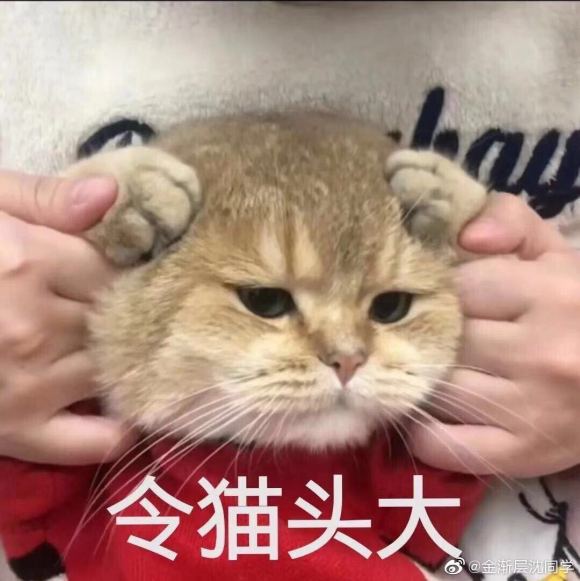 知错不改微信聊天表情包