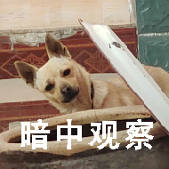 狗村的希望微信表情包