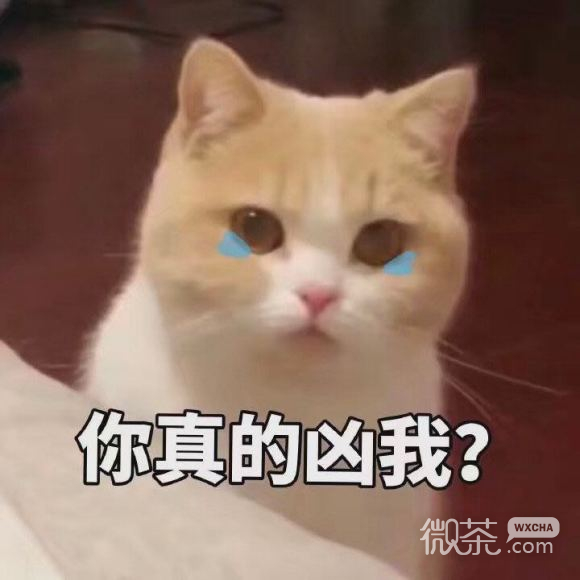 知错不改微信聊天表情包