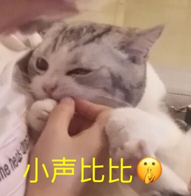 微信近期斗图恶搞表情包2020/9/24