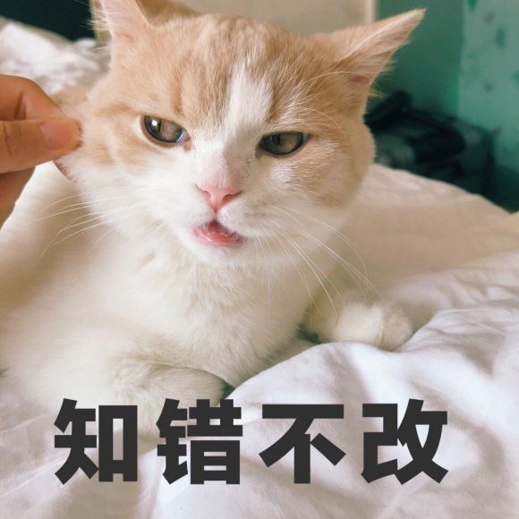 知错不改微信聊天表情包