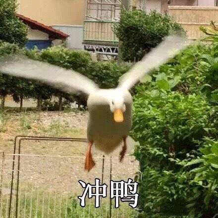 知错不改微信聊天表情包