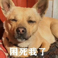 狗村的希望微信表情包